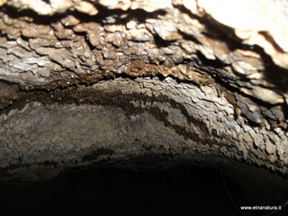 otta Petralia-17-03-2013 10-07-34